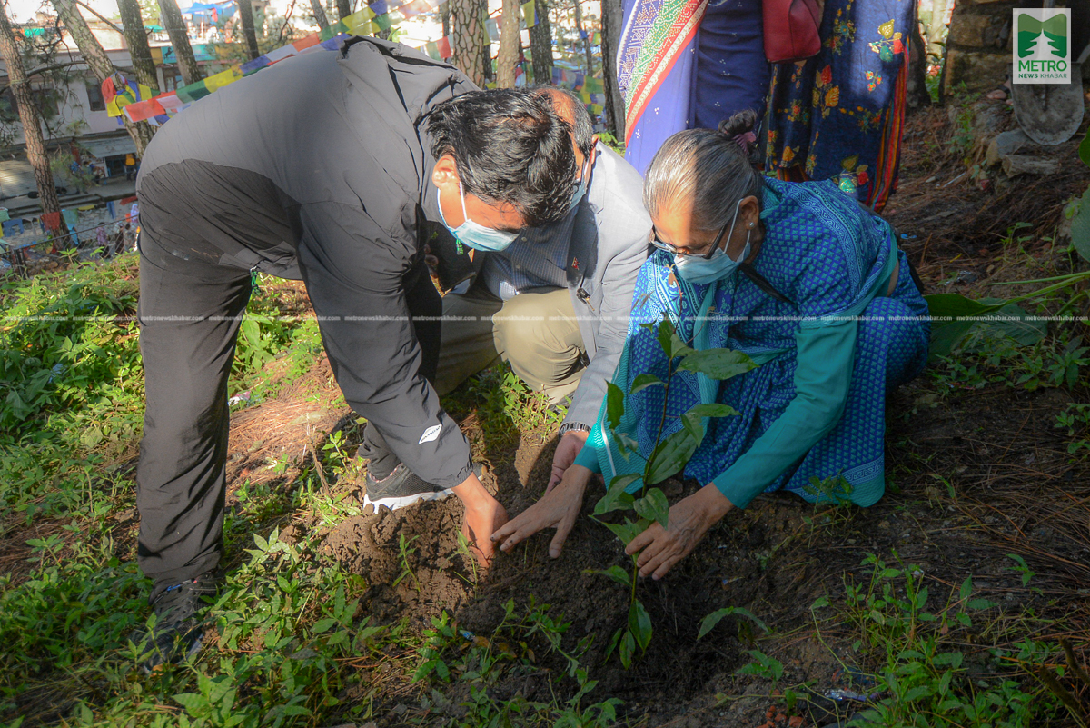 ४३औं पुष्पलाल स्मृति दिवसकाे उपलक्ष्यमा वृक्षारोपण