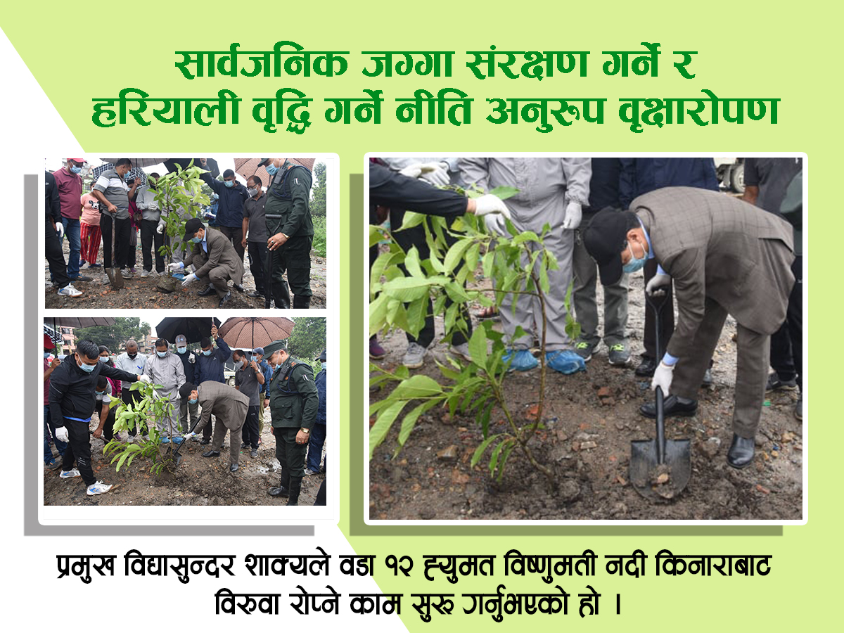 सार्वजनिक जग्गा संरक्षण गर्ने र हरियाली वृद्धि गर्ने नीति अनुरुप वृक्षारोपण